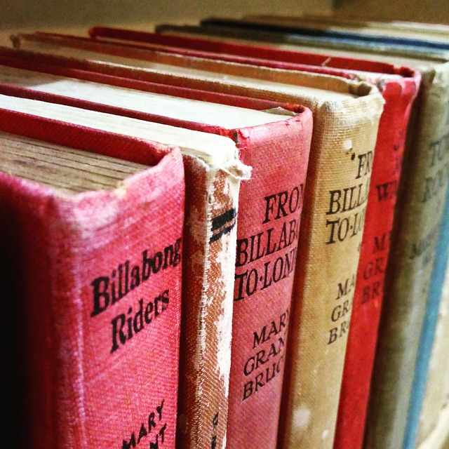 Brug af ordbøger og apps: Gør krydsord nemmere